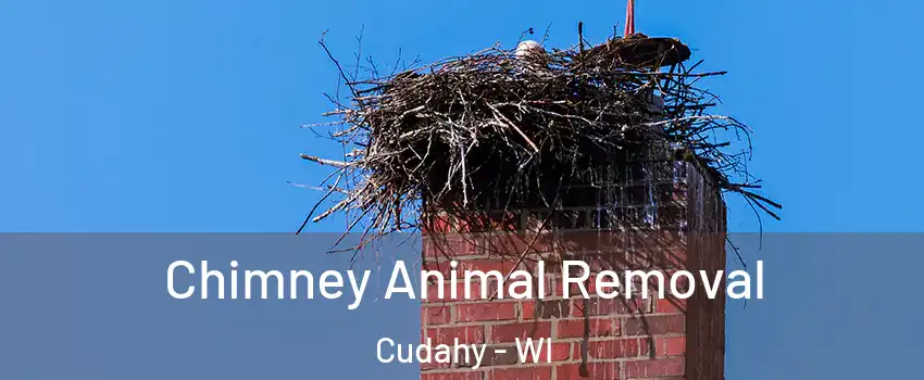 Chimney Animal Removal Cudahy - WI