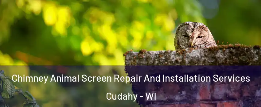  Chimney Animal Screen Repair And Installation Services Cudahy - WI