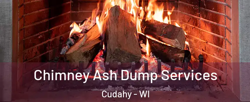  Chimney Ash Dump Services Cudahy - WI