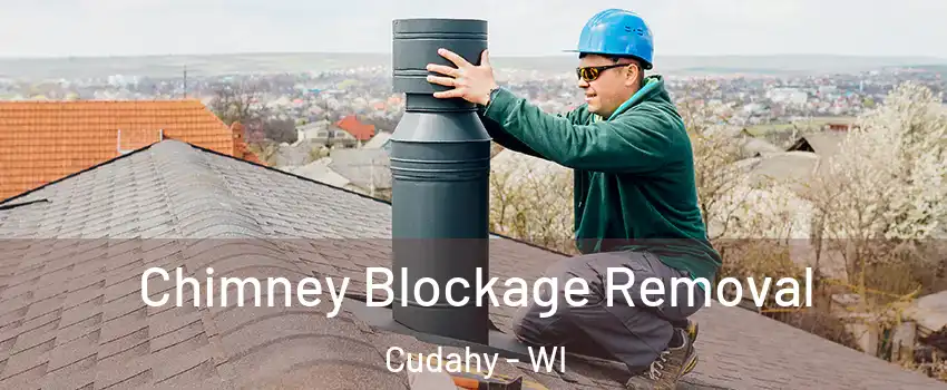  Chimney Blockage Removal Cudahy - WI