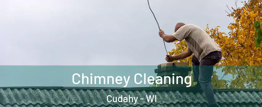  Chimney Cleaning Cudahy - WI