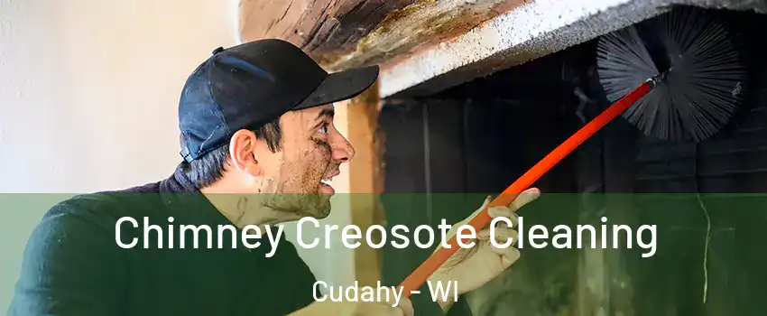  Chimney Creosote Cleaning Cudahy - WI