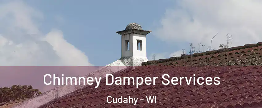  Chimney Damper Services Cudahy - WI