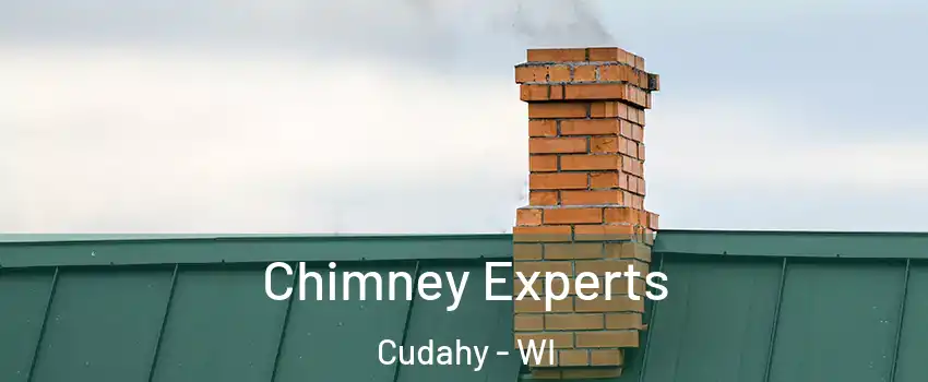 Chimney Experts Cudahy - WI