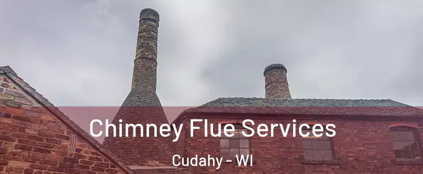  Chimney Flue Services Cudahy - WI