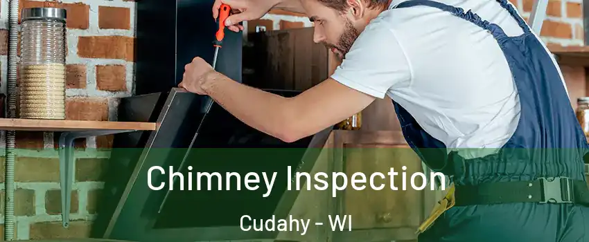  Chimney Inspection Cudahy - WI