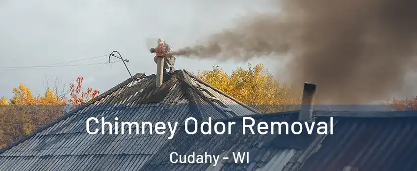  Chimney Odor Removal Cudahy - WI