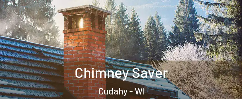  Chimney Saver Cudahy - WI
