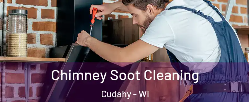  Chimney Soot Cleaning Cudahy - WI