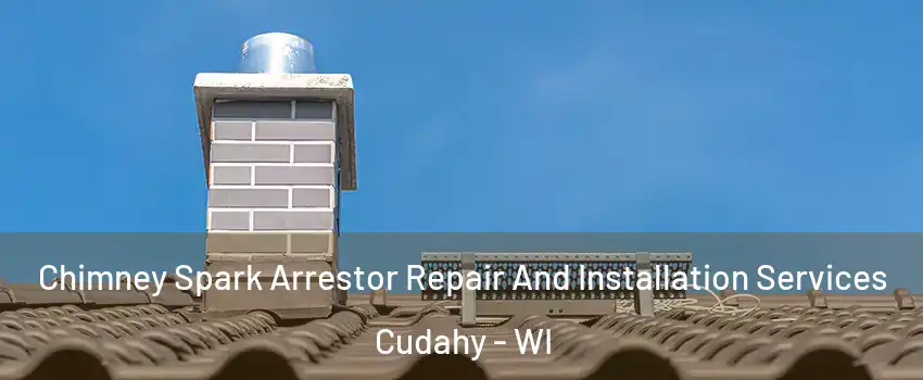  Chimney Spark Arrestor Repair And Installation Services Cudahy - WI