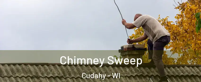  Chimney Sweep Cudahy - WI