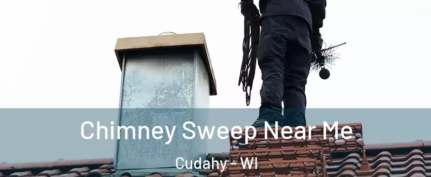  Chimney Sweep Near Me Cudahy - WI