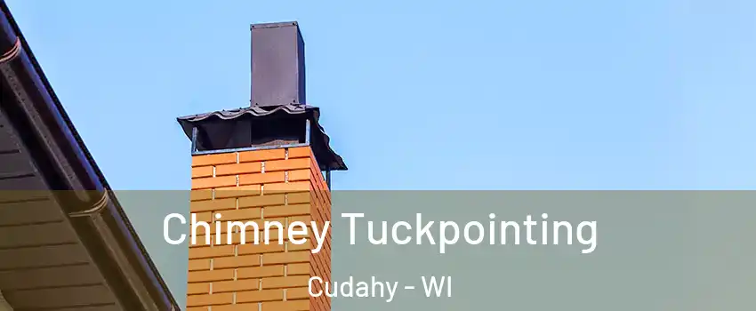  Chimney Tuckpointing Cudahy - WI