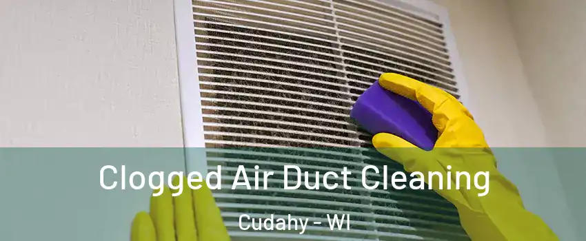  Clogged Air Duct Cleaning Cudahy - WI