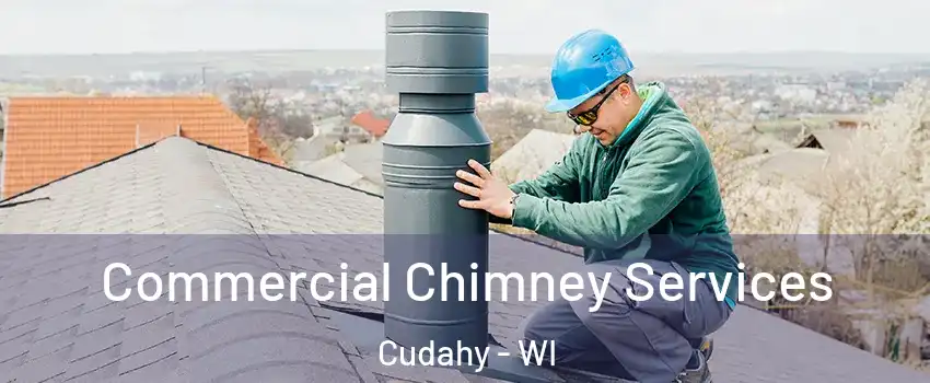  Commercial Chimney Services Cudahy - WI