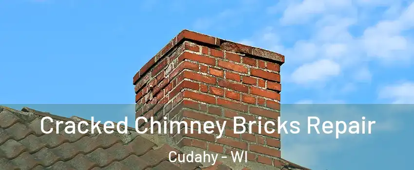  Cracked Chimney Bricks Repair Cudahy - WI