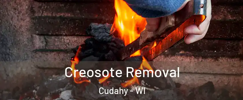  Creosote Removal Cudahy - WI