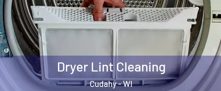  Dryer Lint Cleaning Cudahy - WI