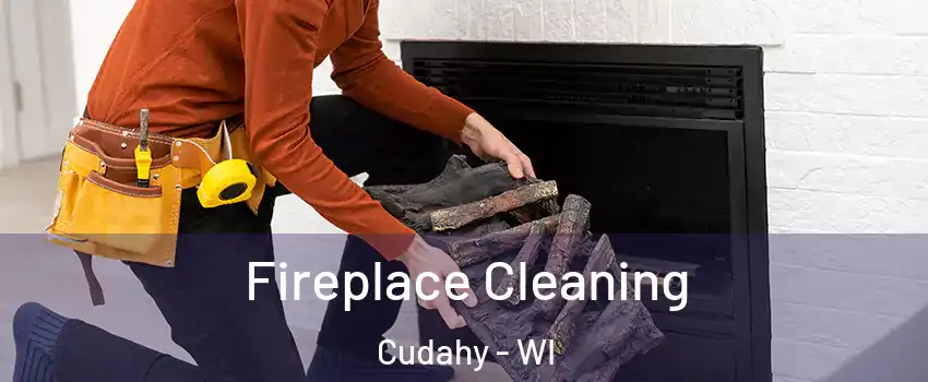  Fireplace Cleaning Cudahy - WI