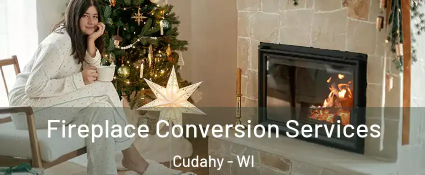  Fireplace Conversion Services Cudahy - WI