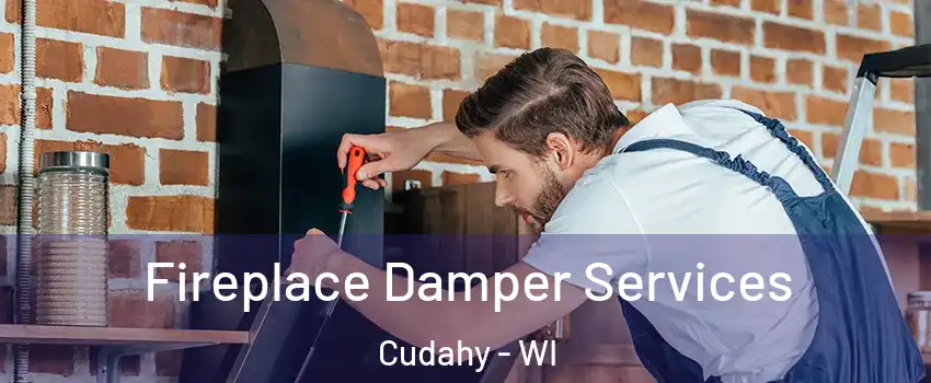  Fireplace Damper Services Cudahy - WI