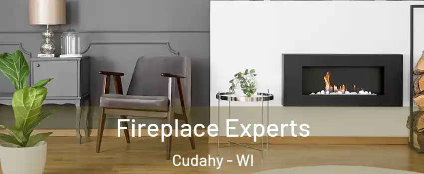  Fireplace Experts Cudahy - WI