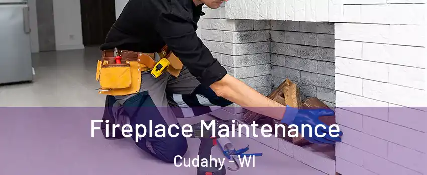  Fireplace Maintenance Cudahy - WI
