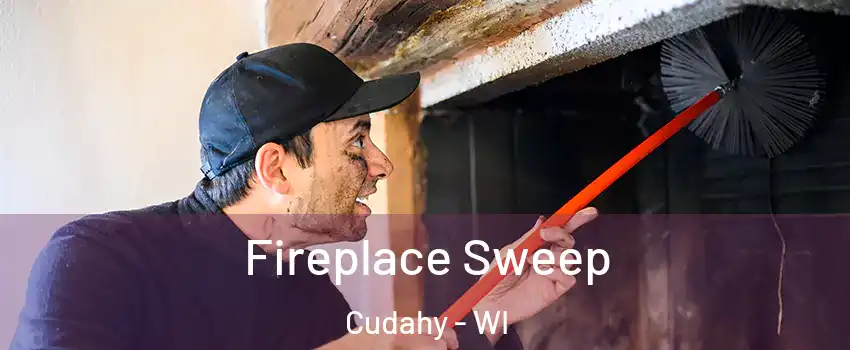  Fireplace Sweep Cudahy - WI