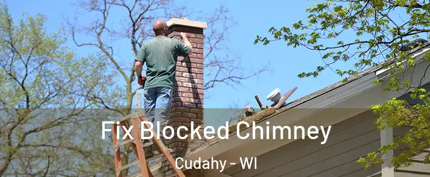  Fix Blocked Chimney Cudahy - WI