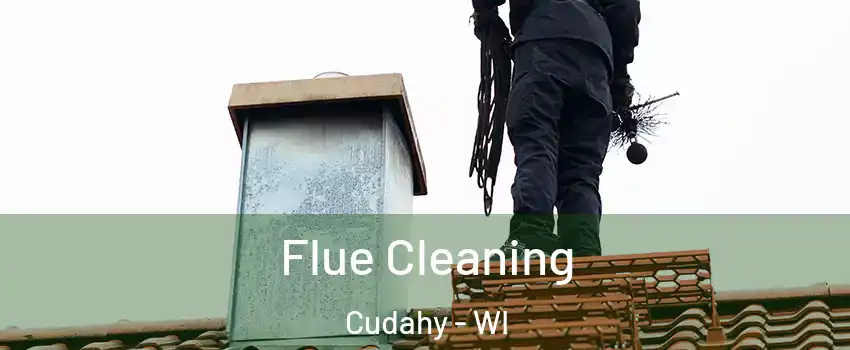  Flue Cleaning Cudahy - WI