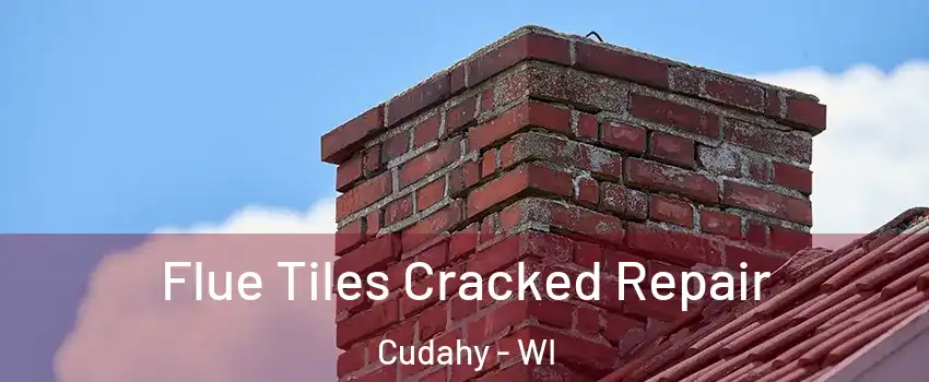  Flue Tiles Cracked Repair Cudahy - WI