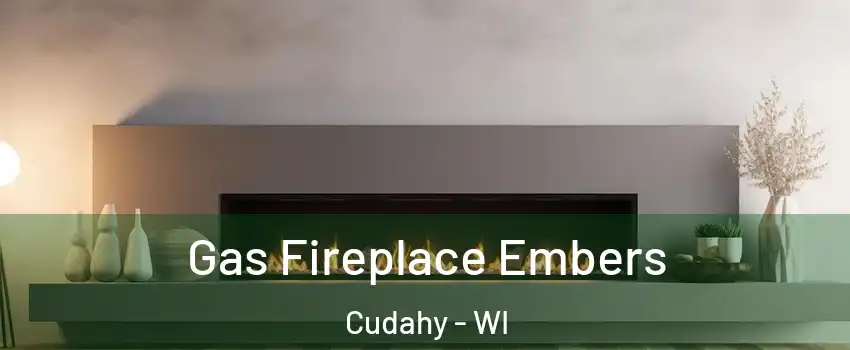  Gas Fireplace Embers Cudahy - WI
