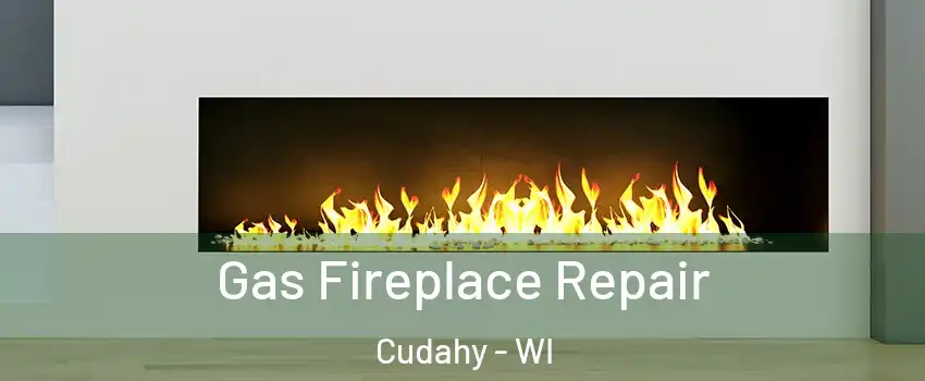  Gas Fireplace Repair Cudahy - WI