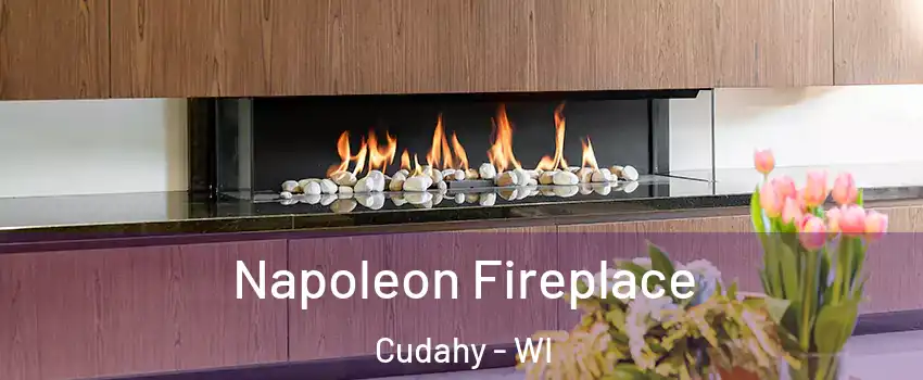  Napoleon Fireplace Cudahy - WI