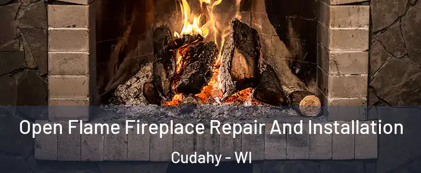  Open Flame Fireplace Repair And Installation Cudahy - WI
