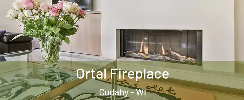 Ortal Fireplace Cudahy - WI