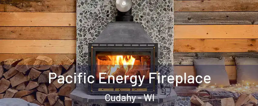  Pacific Energy Fireplace Cudahy - WI