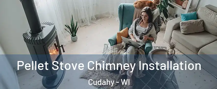  Pellet Stove Chimney Installation Cudahy - WI