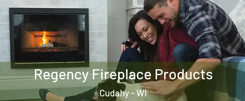  Regency Fireplace Products Cudahy - WI