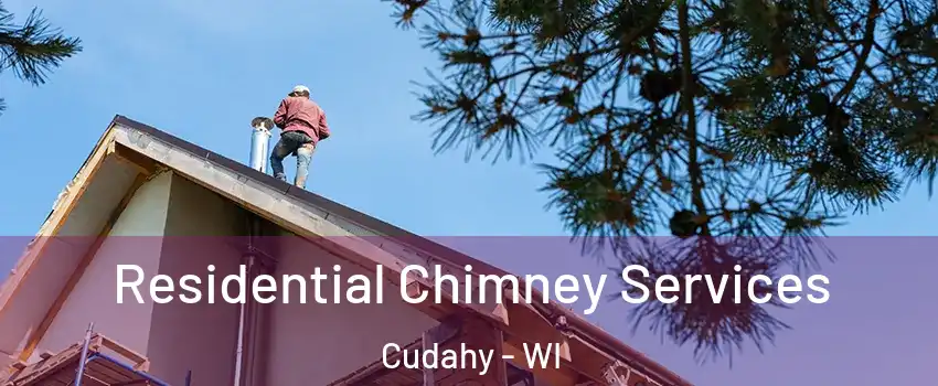  Residential Chimney Services Cudahy - WI