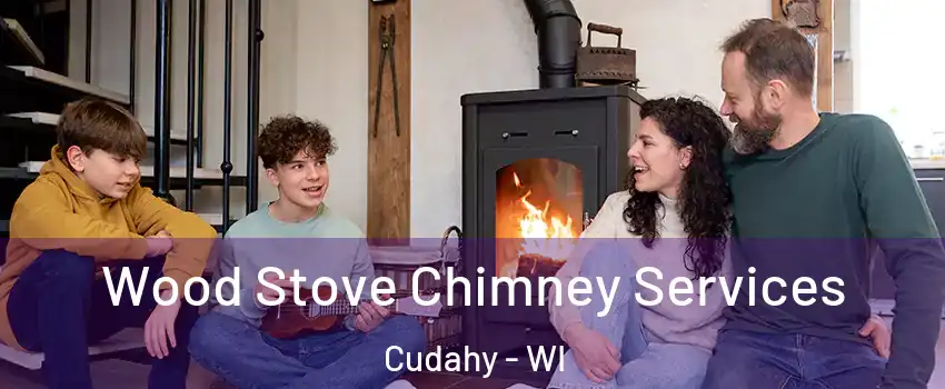  Wood Stove Chimney Services Cudahy - WI