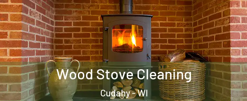  Wood Stove Cleaning Cudahy - WI